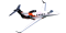 Phenom 300