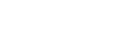 Logo with the words "Probe Lety LLC" in stylized text at the top, accompanied by abstract, decorative elements below.